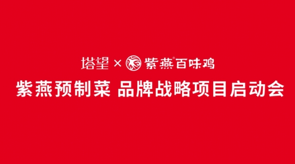 塔望x紫燕 - 預制菜項目品牌戰略啟動(dòng)會(huì )