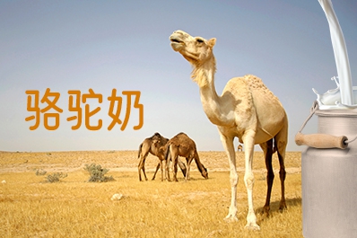 駱駝奶市場(chǎng)規(guī)模龐大，百億體量，品牌升級(jí)！-上海塔望